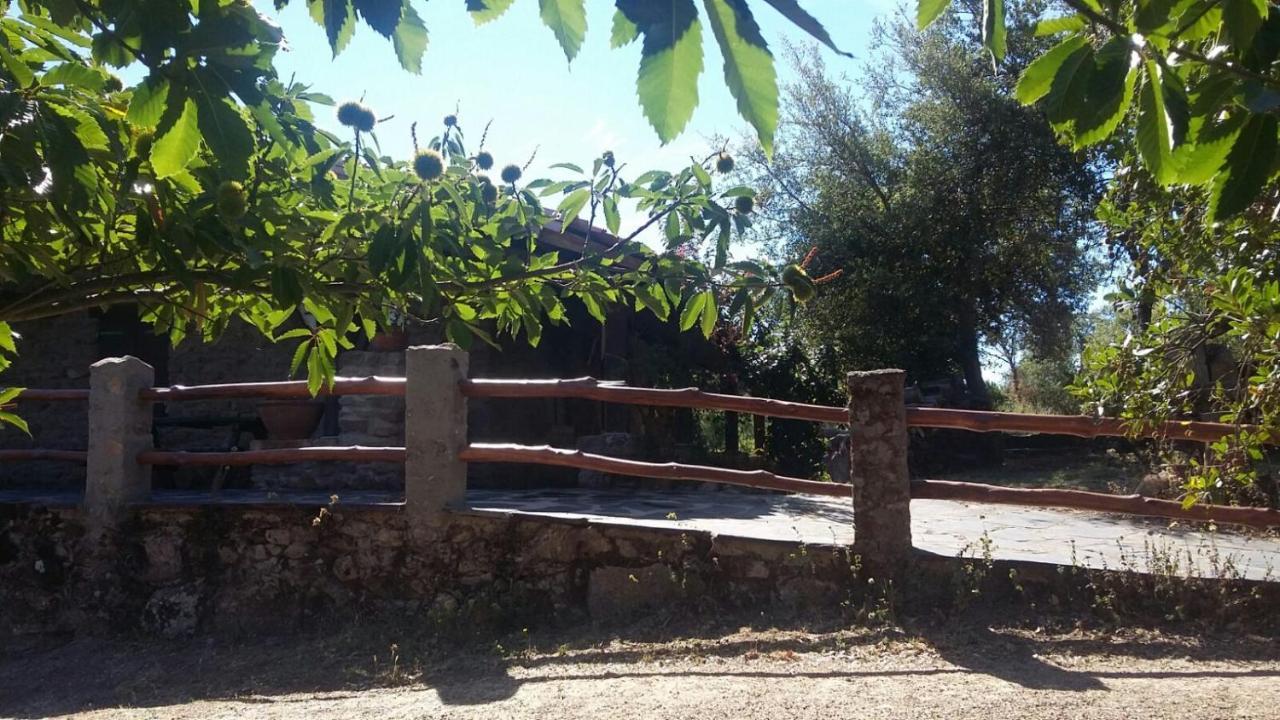 La Simona Casa Rural Perales del Puerto Exterior photo