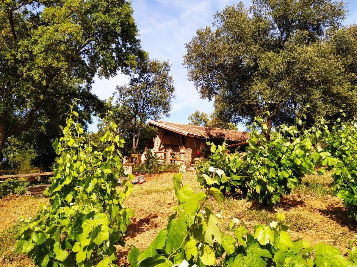 La Simona Casa Rural Perales del Puerto Exterior photo